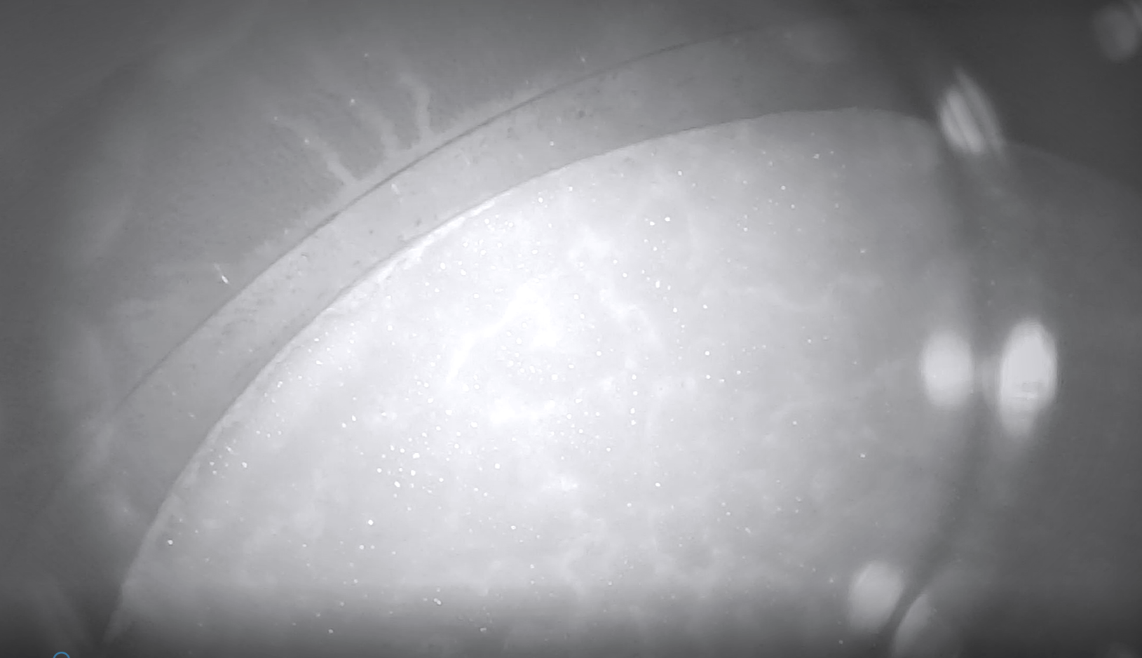 SBRホームページ